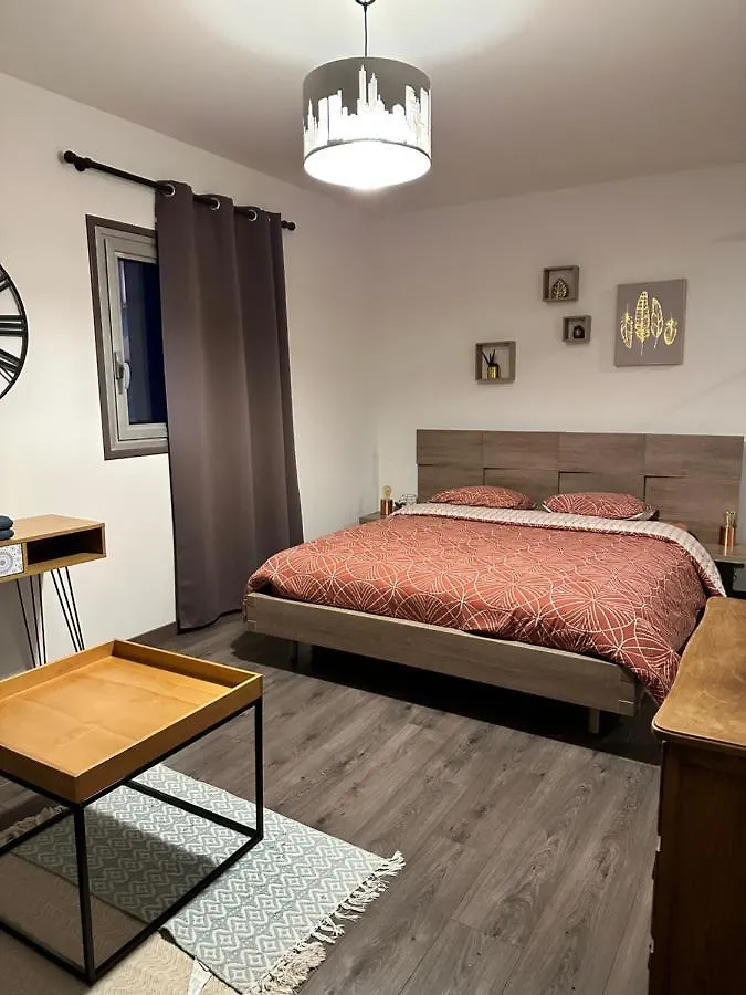 Magnifique Loft - Hyper Centre Apartment Annemasse