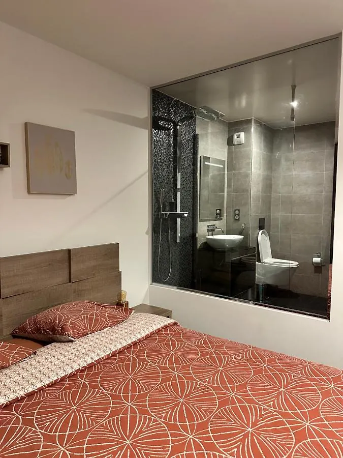 Magnifique Loft - Hyper Centre Apartment Annemasse 0*,