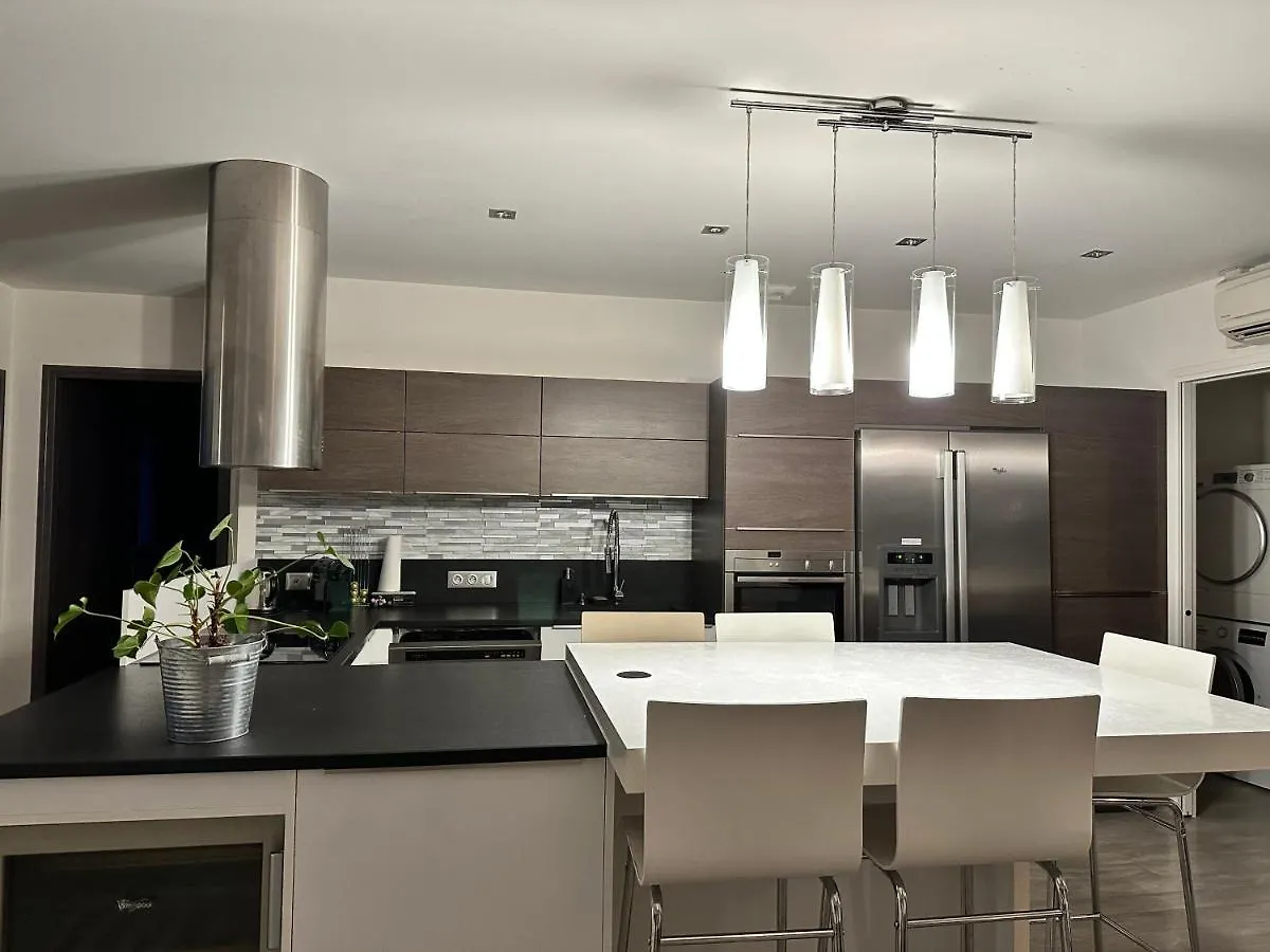 Magnifique Loft - Hyper Centre Apartment Annemasse France